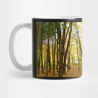 Autumn in Belarus Mug